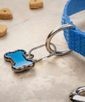 MicroLink Pet Tag Carabiner Clip Stainless Steel for Cats and Dogs attached to blue collar showing secure tag attachment