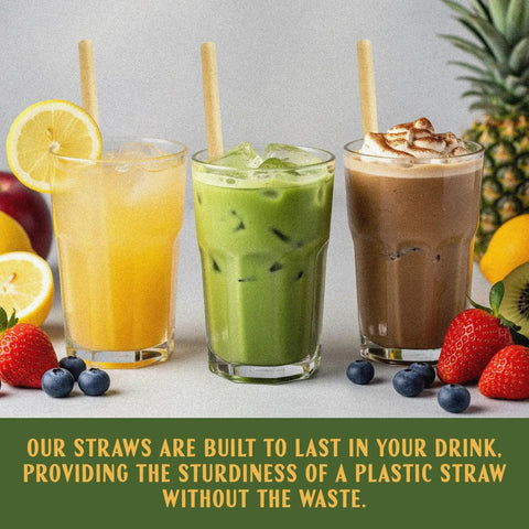 Bulk 8 Inch Agave Straws Wrapped 2,000 Count Eco Friendly Compostable Drinking Straws Made From Upcycled Agave Durable Long Lasting Sippers That Won’t Get Soggy in iced drinks