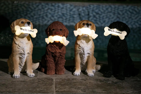 Four dog garden statues with LED bone welcome signs at night