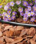 Pro Grade One-Half Inch Drip Irrigation Distribution Tubing Fifty Foot Roll In Black used in garden bed with flowers and mulch