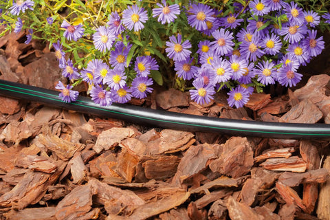 Pro Grade One-Half Inch Drip Irrigation Distribution Tubing Fifty Foot Roll In Black used in garden bed with flowers and mulch