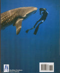 Diver photographing whale shark from 'Hunting and Free Diving Second Edition by Terry Maas A 214 Page Practical Guide to Deep Sea Hunting'