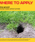 Grass and soil with visible burrow for Outdoor Mole And Gopher Poison Peanut Bait 4 Pack With Cone Tip For Hole Access