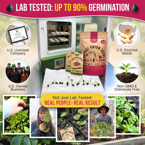 Indoors Or Outdoors Onion Seed Variety Pack Heirloom Non GMO Eight Varieties With 2200 Seeds Including Walla Walla Green Onion Red