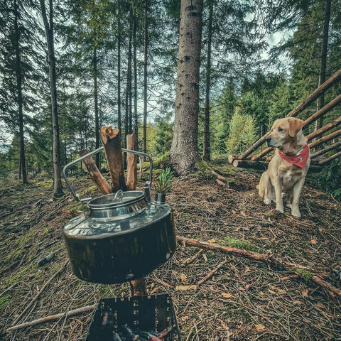 One Liter Lightweight Stainless Steel Camping Kettle Built Tough For Bushcraft And Outdoor Campfire Use in forest setting