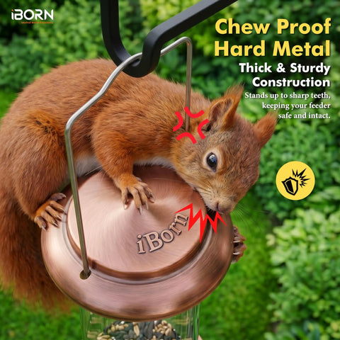 Squirrel trying to chew All Metal Brushed Copper Bird Feeder With Six Feeding Ports For Outdoor Hanging 15 Inch Backyard