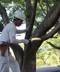 Worker using Heavy Duty Lineman Saw With 16.5 Inch Blade 1.8mm Thick XL Teeth 4.7 To 5.5 TPI for tree pruning
