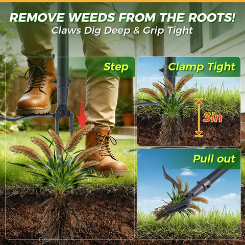 Stand Up Weed Puller Tool With A 46 Inch Adjustable All Metal Long Handle And A 4 Claw Steel Head For Root Removal No Bending Or Kneeling Heavy Duty Back And Knee Friendly Garden Weeder, shown pulling weeds by roots