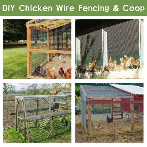 DIY chicken wire fencing and coop images showcasing Heavy Duty 24 Inch By 100 Foot Black Hardware Cloth With One Inch Square Mesh usage.