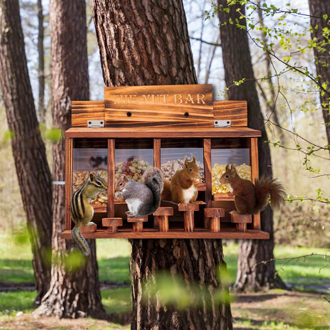 Wooden Squirrel Picnic Table Feeder With Four Seed Compartments And Seven Tier Bar Stools, Durable Burnt Wood Finish, outdoors