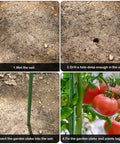 Four-step guide using Heavy Duty 24 Inch Garden Stakes 25 Pack Plastic Coated Metal Plant Supports For Tomatoes Beans And Trees