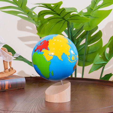 Montessori Color Globe 8.7 Inch Beechwood World Globe With Continent Outlines on a wooden table, surrounded by plants.