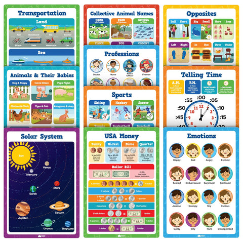 Massive 20 Poster Classroom Set 16 By 11 Inches featuring Transportation, Collective Animal Names, and more for educational use.