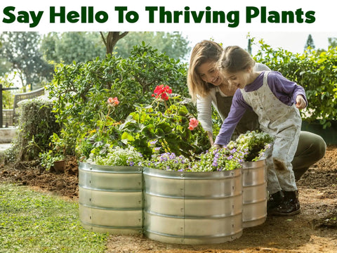 Galvanized Raised Garden Bed Outdoor 3x3x1 Ft Planter For Vegetables And Flowers, metal box with blooming plants, tool-free design