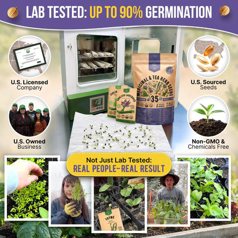35 Medicinal And Tea Herb Seeds Variety Pack For Indoor And Outdoor Planting With 16,335+ Non GMO Heirloom Seeds in packaging