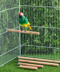 Premium Natural Wood Bird Perch Stand Set For Parakeets And Cockatiels, Five Piece Assorted Rods on cage with bird.