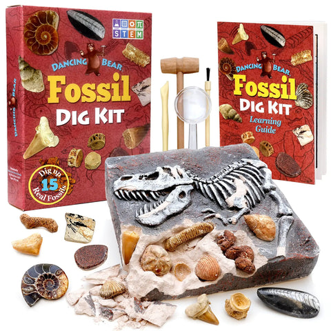 Fossil Dig Kit For Kids, Excavate 15 Real Fossils, Dinosaur Bones And Shark Teeth, Educational Science Activity Gift Set