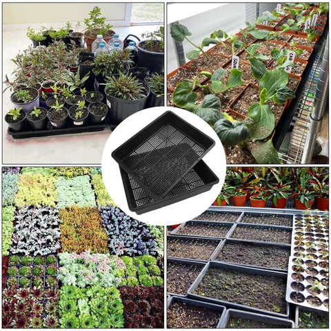 15 X 12 Inch Seed Starter Trays With Mesh Bottom For Germination Microgreens Sprouts Hydroponics And Wheatgrass 16 Pack Garden Grow Trays Kit For At Home Gardeners