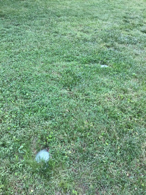 Pop Up Drainage Emitter With Elbow For 4 Inch Drain Pipe No Fuss Water Discharge And Mower Safe Flush Design For Green Lawn Irrigation
