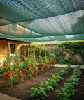 Beefed Up 35 To 45 Percent Sun Shade Cloth 10 By 20 Feet Green HDPE Mesh For Plants Vegetables in garden install