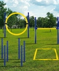 Dog Agility Set With Hoop Jump Weave Poles And Pause Box in green park