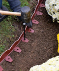 Installing Scalloped Top No Dig Landscape Edging With Extra Anchoring Spikes In Red 100 Foot Kit around flower bed