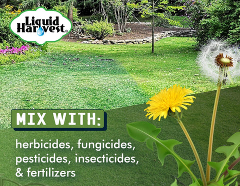 Liquid Harvest Lazer Green concentrate spray dye, 1 gal, turf marker for herbicides and fertilizers
