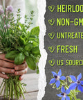 Person holding fresh herbs from Herb Seed Variety Pack for Indoor or Outdoor Gardens next to list of heirloom, non-GMO features.