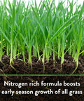 Bio Turf All Natural Lawn Fertilizer For Grass And Ornamentals, 8-3-5 NPK Granular Formula, OMRI Listed Organic Lawn Food