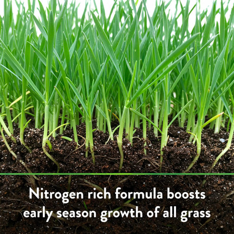Bio Turf All Natural Lawn Fertilizer For Grass And Ornamentals, 8-3-5 NPK Granular Formula, OMRI Listed Organic Lawn Food