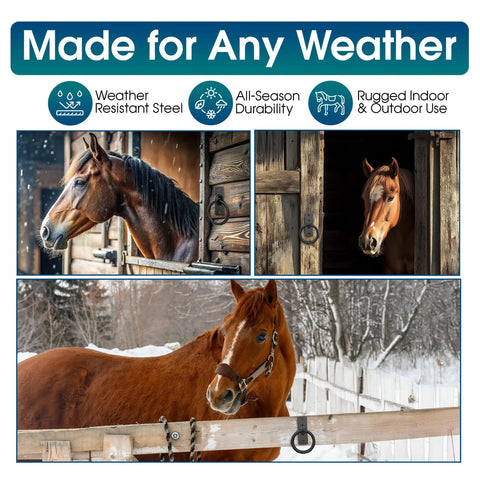 Heavy Duty Solid Steel Horse Tie Ring 2-3/8 Inch Cross Tie Ring, used with horses in a stable and snowy paddock scene.