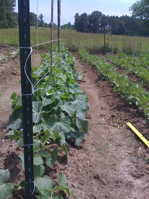 6300 Ft Tomato Twine For Trellising Gardens Heavy Duty Poly Garden String used for supporting plants in a garden