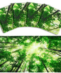 Four Pack 4x2 Feet Fluorescent Light Covers With Magnetic Filters For Classrooms, Offices, Homes And Hospitals Forest Green Decorative Ceiling Shade Easy Snap Fit Keeps Glow Soft And Glare Free showing forest canopy design.