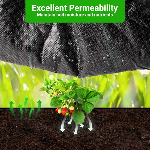Heavy Duty Landscape Fabric With Planting Holes 4 By 25 Feet Ground Cover For Gardens Breathable Weed Barrier for moisture permeability