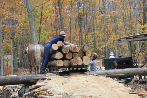 Top Shelf Kiln Dried Red Oak Board One Eighth Inch Thick By Four To Five Inches Wide And Twenty Four Inches Long Solid Hardwood Plank For DIY projects stacked at the sawmill.