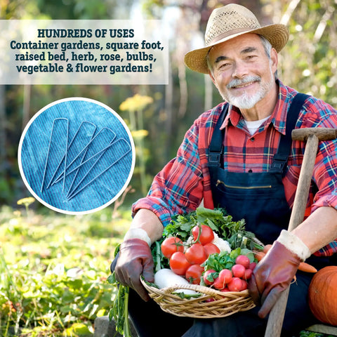 Gardener holding vegetables in a field with inset showing 100 Pack 6 Inch Garden Stakes Galvanized Landscape Staples For Weed Barrier Fabric