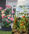 Two Pack Raised Garden Bed Tomato Planter Box With Trellis 43.4 Inch Self Watering Cage with flowers and tomatoes outdoors