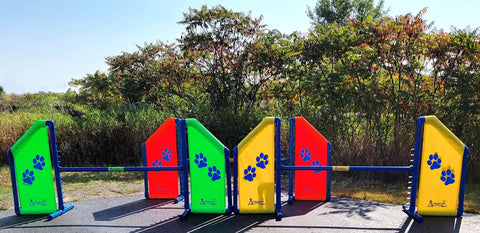 Angled Wing Jump For Dog Agility, Heavy Duty PVC Obstacle For Indoor Or Outdoor Training, 48 Inch Bar, Lightweight Yet Sturdy