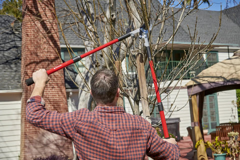 Man using Extendable Handles Compound Action Bypass Lopper For Thick Branches Up To One And A Half Inches with Dual Pivot Leverage