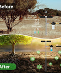 Deep Root Watering Spike For Trees With Fertilizer Bottle Stainless Steel Root Feeder Brass Valve in before and after garden scene