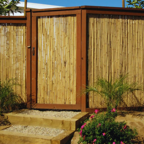 Natural Bamboo Fence Roll Panel 0.75 Inch Thick 6 Foot High By 8 Foot Long used as garden fence with tropical vibe.