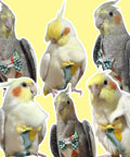 Blue Parrot Harness Flight Suit Diaper With 80 Inch Flying Leash Rope For Parrots And Small Birds, Bird Clothes For Conure And Cockatiel