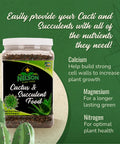 Cactus And Succulent Plant Food For Indoor And Outdoor Plants No Fuss Low Maintenance Fertilizer That Feeds Every Other Month All Purpose Cacti Fertilizer With Rich Nutrients For Healthy Growth jar
