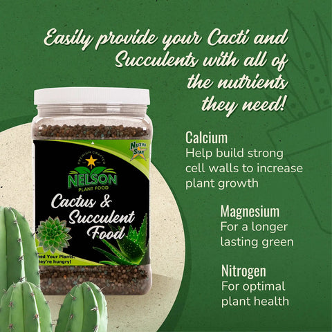 Cactus And Succulent Plant Food For Indoor And Outdoor Plants No Fuss Low Maintenance Fertilizer That Feeds Every Other Month All Purpose Cacti Fertilizer With Rich Nutrients For Healthy Growth jar