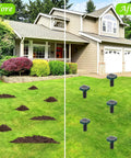 Before and after using Eight Pack Solar Powered Mole Repellent Ultrasonic Outdoor Pest Repeller for lawns and gardens.