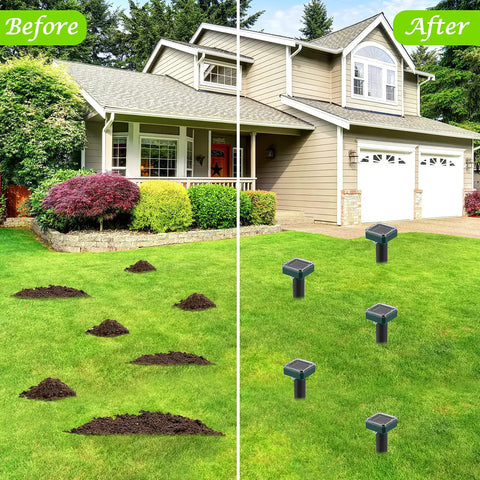 Before and after using Eight Pack Solar Powered Mole Repellent Ultrasonic Outdoor Pest Repeller for lawns and gardens.