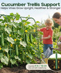 U Shape Garden Trellis For Raised Bed 48 By 48 Inch No Tools Required Setup In A Jiffy Climbing Plant Support for cucumbers