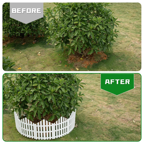 Before and after of a shrub with No Dig Garden Edging Border Kit 13 Ft White 14.6 Inch Tall With 14 Stakes creating a clean border.