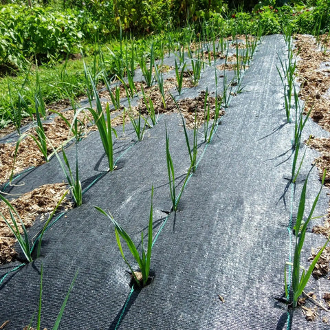 Heavy Duty Weed Barrier Landscape Fabric 6Ft Wide By 50Ft Long, 3.2oz Polypropylene Geotextile Ground Cover in garden.