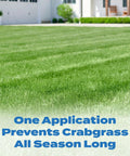 Lawn treated with All Season Crabgrass And Grassy Weed Preventer For Lawns Pre Emergent Weed Control That Stops Chickweed And More